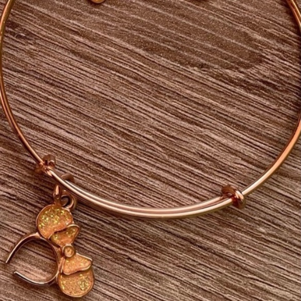 Alex and ani rose gold Disney charm bracelet